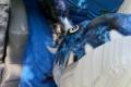 Blue Dragon csúszdás légvár (PVC)